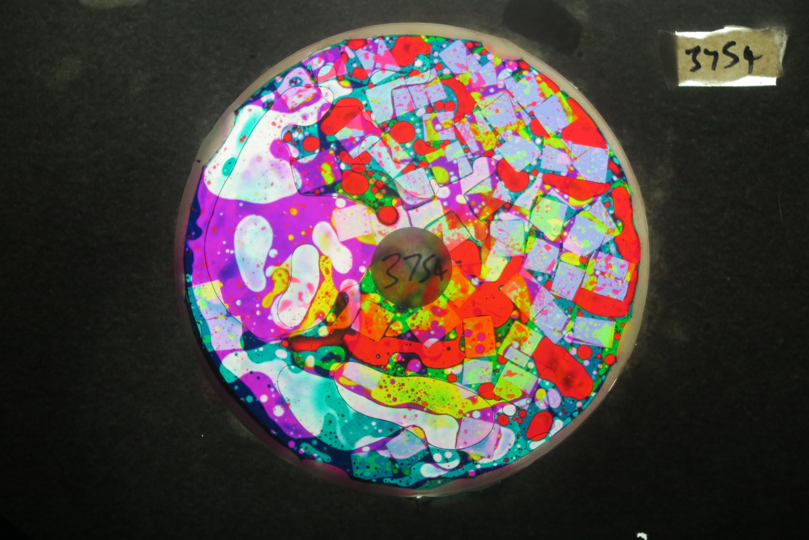 BV3754 bubble vision oil wheel